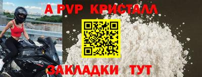 эйфоретик Малгобек