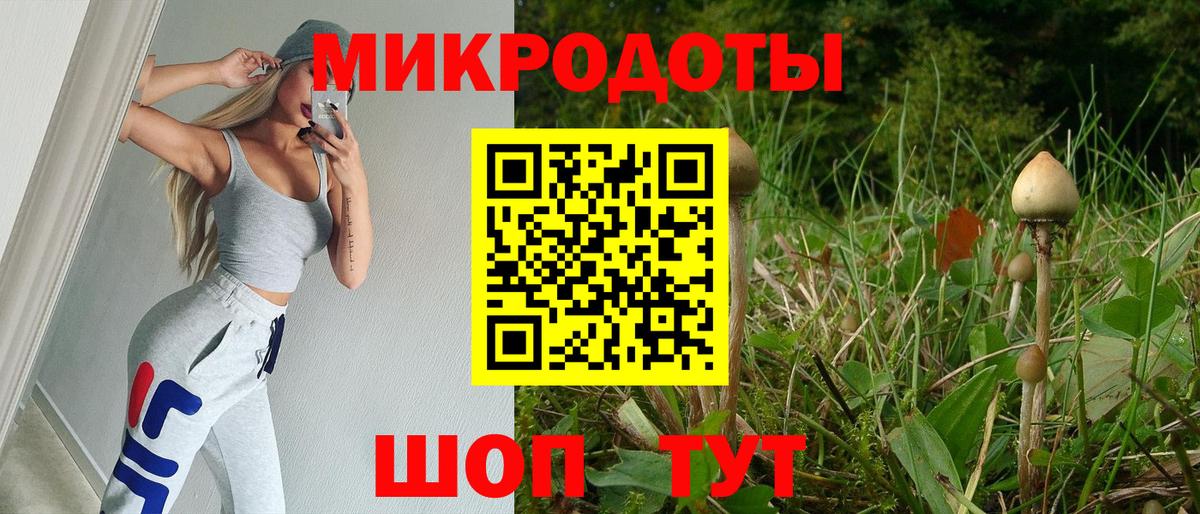купить закладку  Вход с VPN  Улан-Удэ  Галлюциногенные грибы Psilocybe 